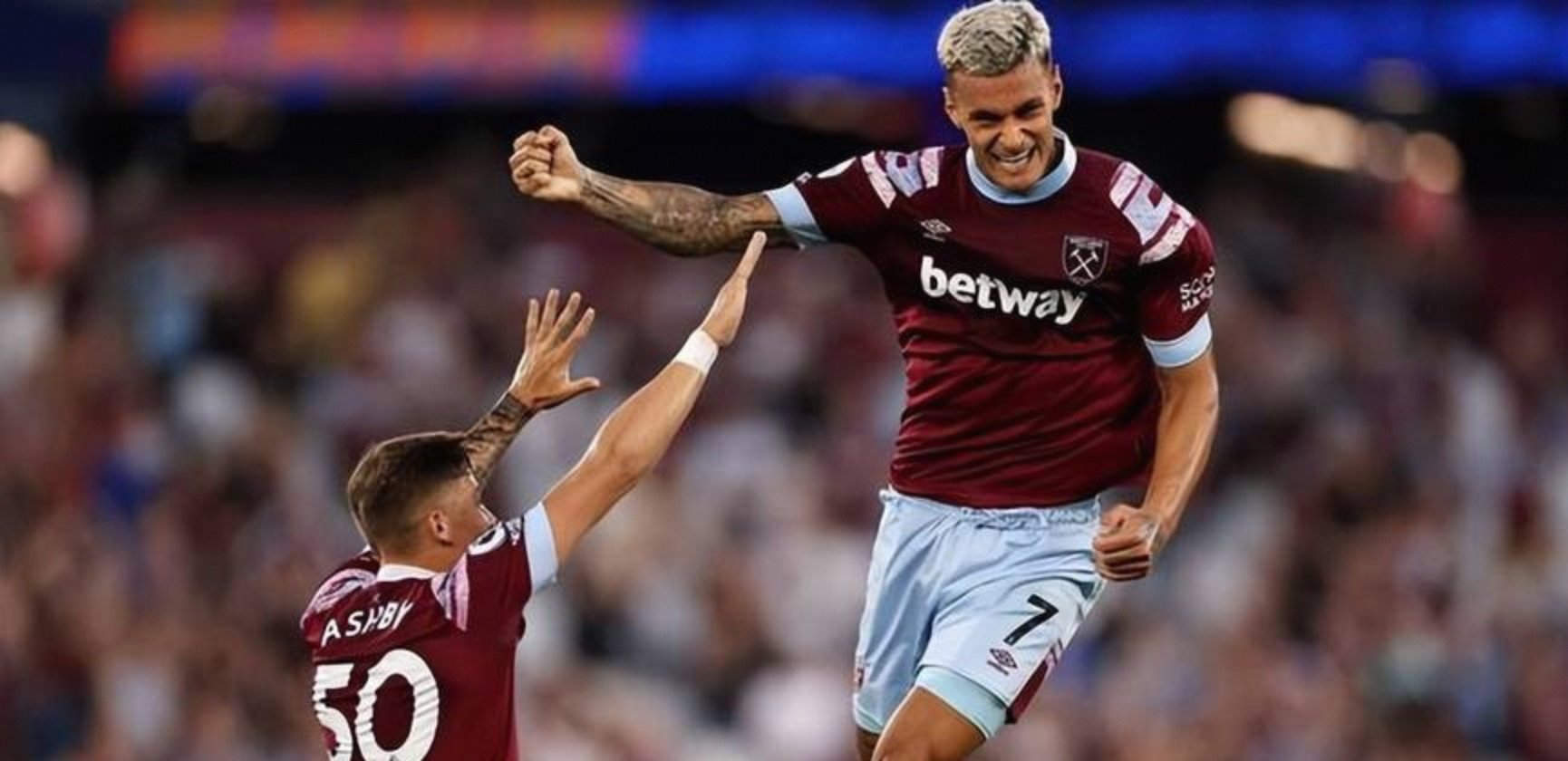  冯霍恩海姆帕拉塞尔苏斯 