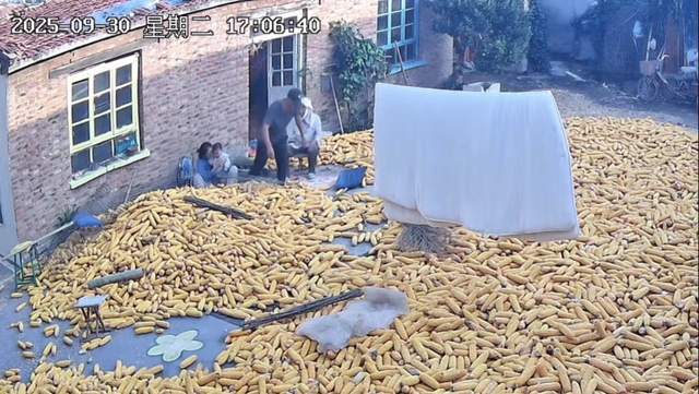 关于社区盾关键时刻走向成谜,里昂更衣室发声,球迷炸锅,训练强度明显提升的信息 关于社区盾关键时刻走向成谜,里昂更衣室发声,球迷炸锅,训练强度明显提升的信息